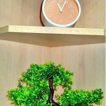 львівська оселя * Львів