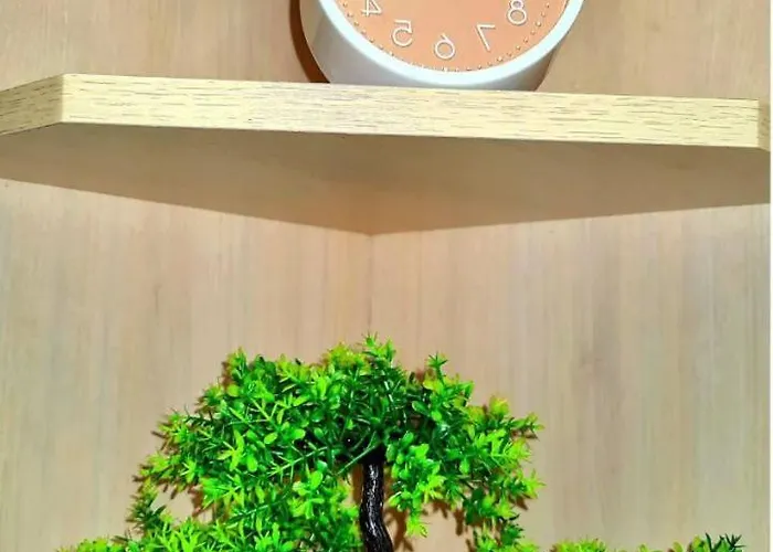 студіо філатова 8 * リヴィウ